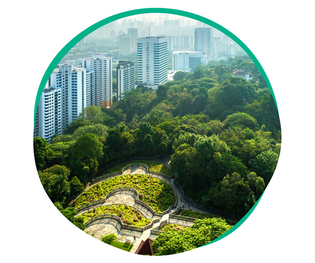 Forest with a city in the background.