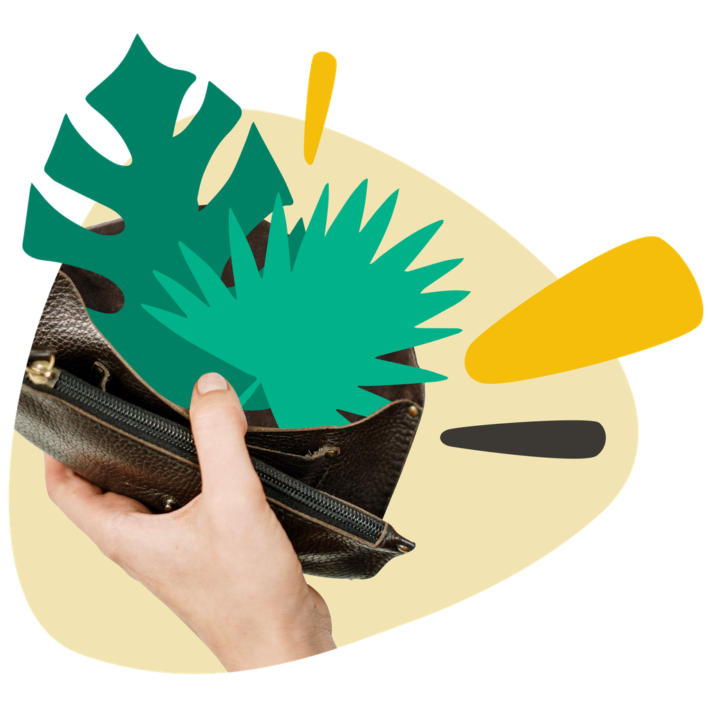 Hand holding open brown leather wallet with green tropical leaves bursting out against a beige background with yellow accents.